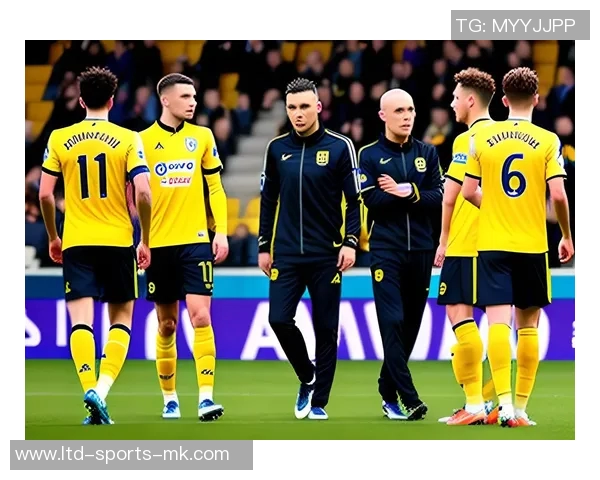 维特斯与芬洛对决分析及比赛前瞻展望